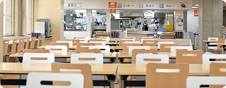 白の清潔感と木の温もりを調和させた統一感のある広々とした明るい食堂スペース。