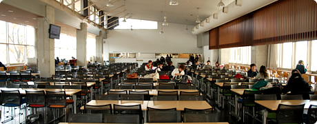 窓際の席にはLANケーブルが完備され、インターネットに繋がります！