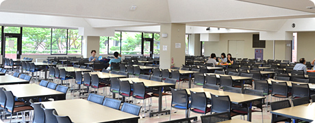 2階は、天窓から陽の光が入る明るい食堂スペースです。